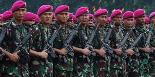 Image result for tni