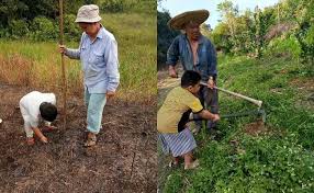 Image result for anak membantu orang tua